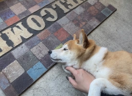 今日の1日♪